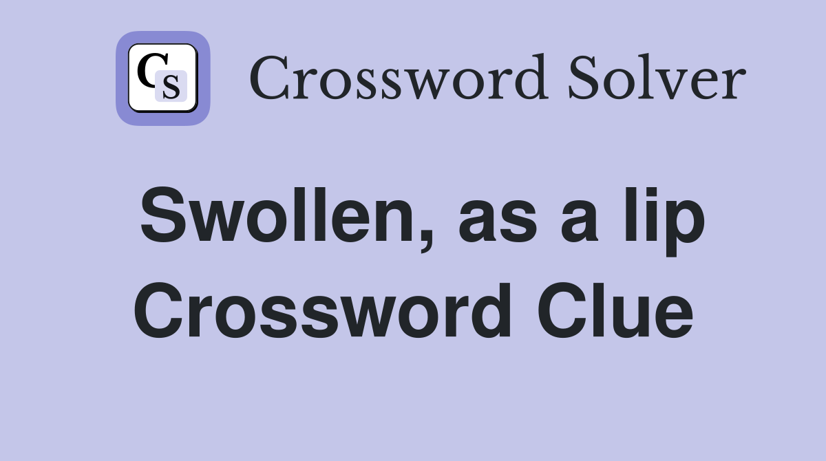 Swollen, as a lip Crossword Clue
