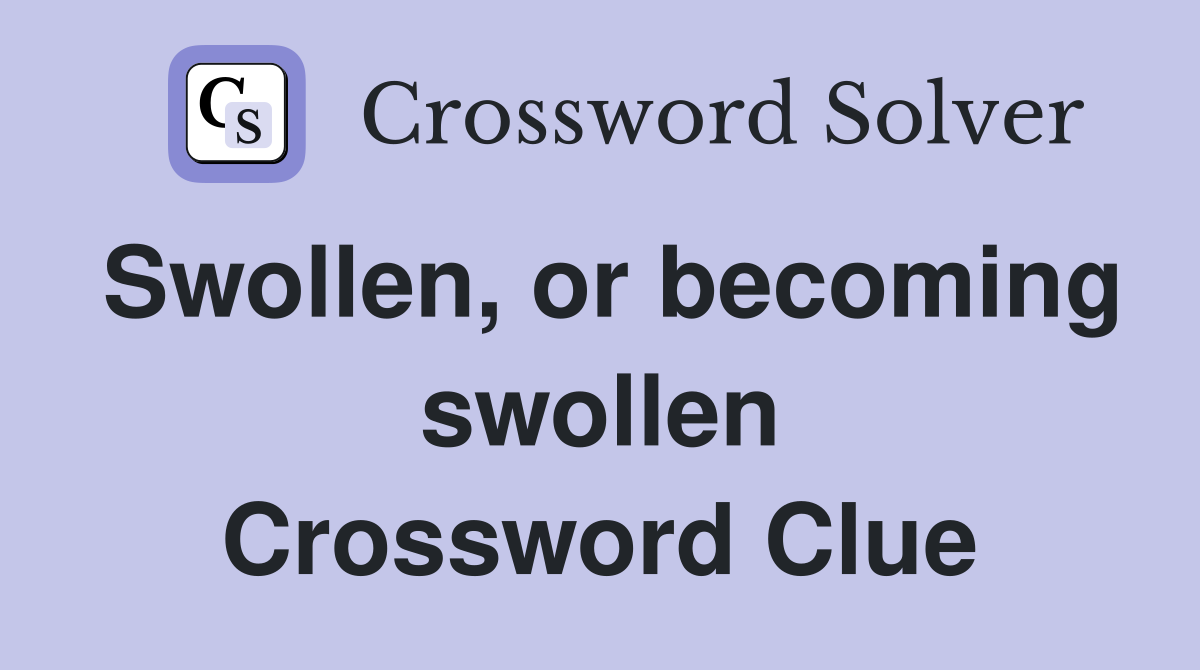 Swollen, or becoming swollen Crossword Clue