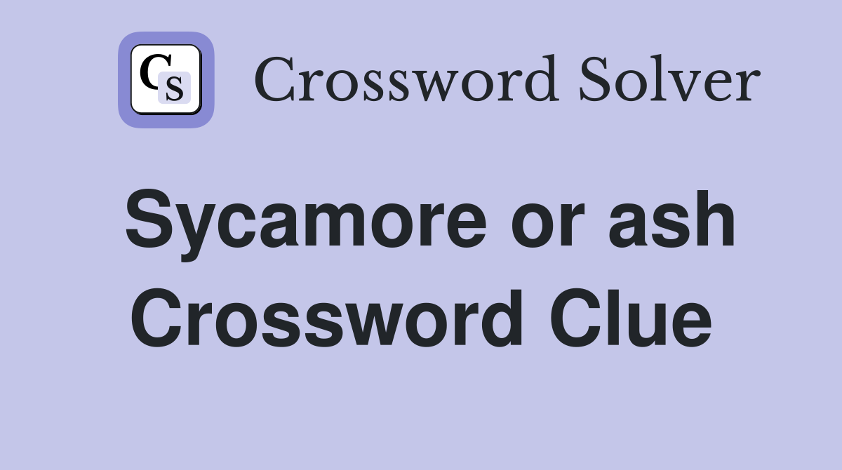 Sycamore or ash Crossword Clue