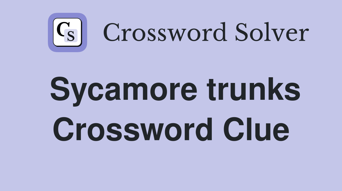 Sycamore trunks Crossword Clue