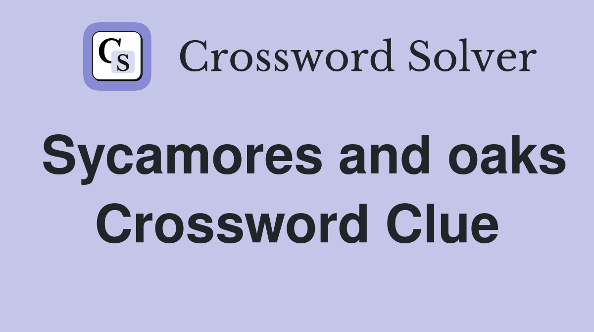Sycamores and oaks Crossword Clue