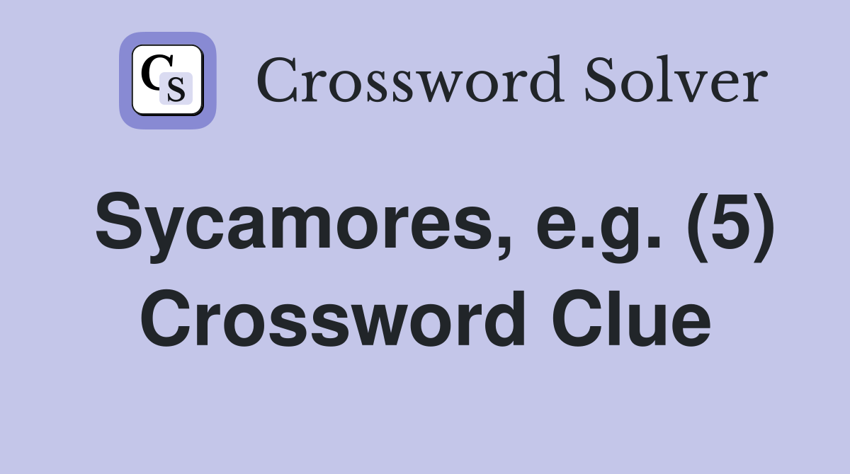 Sycamores, e.g. (5) Crossword Clue