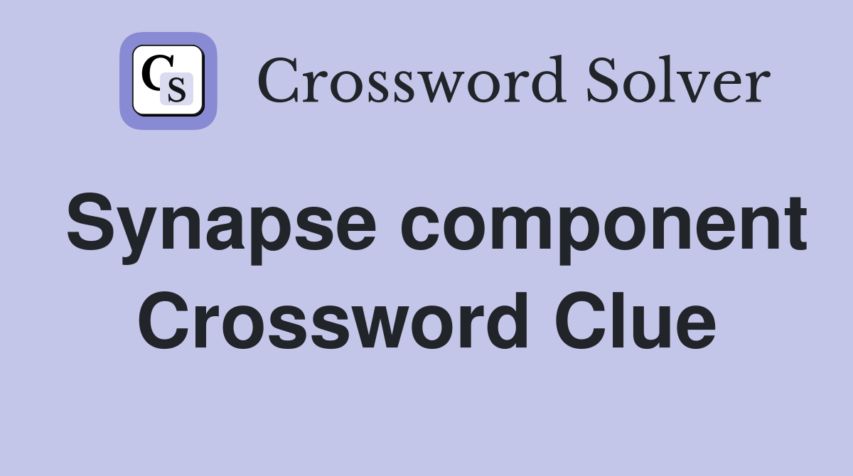 Synapse component Crossword Clue