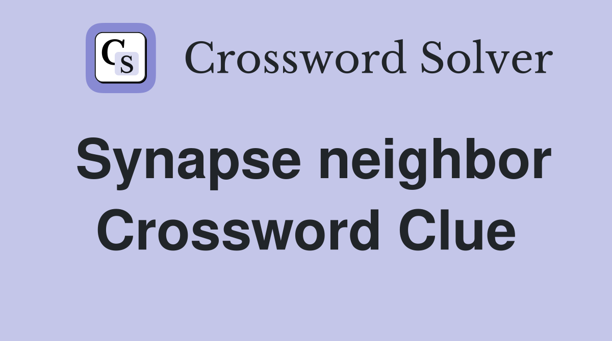 Synapse neighbor Crossword Clue
