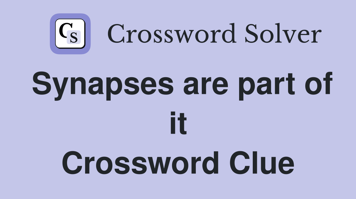 Synapses are part of it Crossword Clue