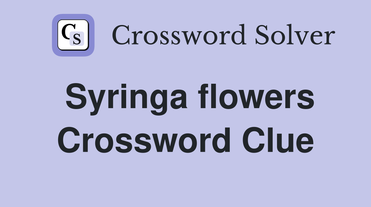 Syringa flowers Crossword Clue
