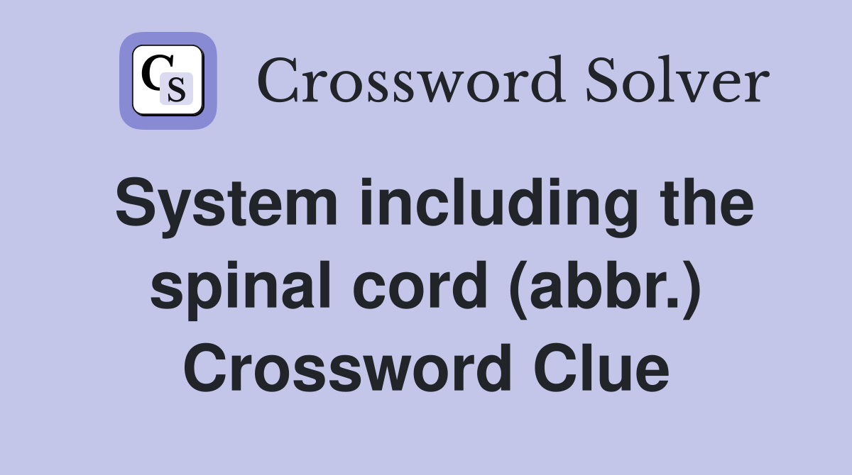 System including the spinal cord (abbr.) Crossword Clue