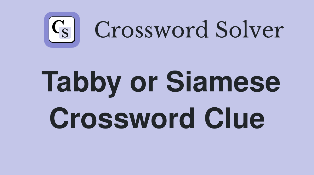 Tabby or Siamese Crossword Clue