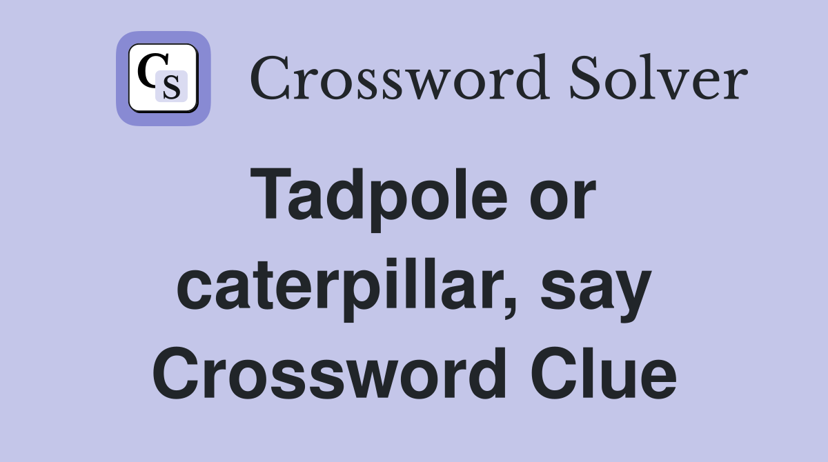 Tadpole or caterpillar, say Crossword Clue