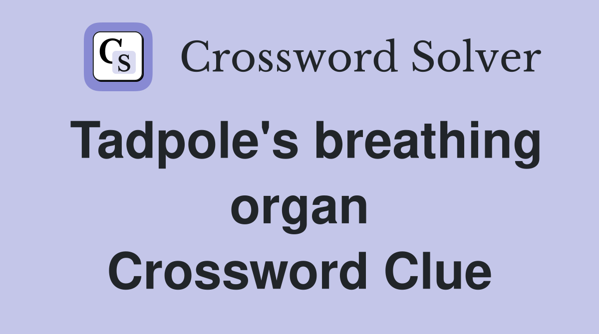 Tadpole's breathing organ Crossword Clue