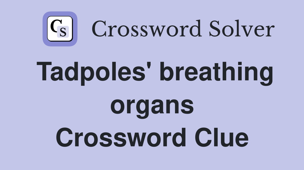 Tadpoles' breathing organs Crossword Clue
