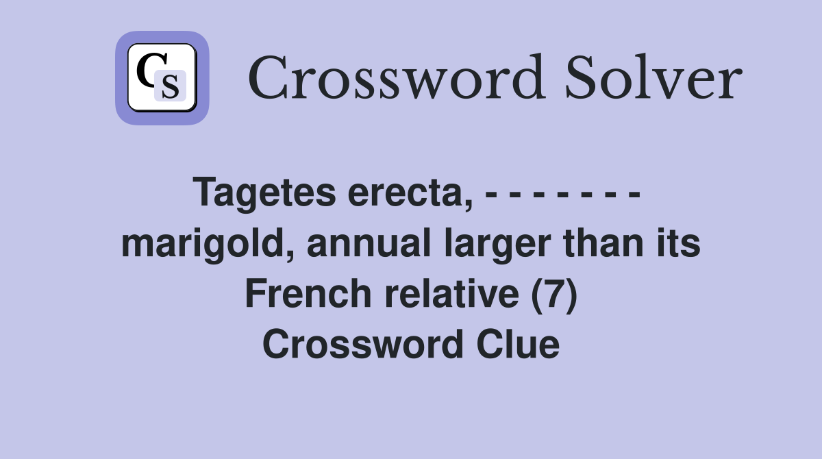 Tagetes erecta, - - - - - - - marigold, annual larger than its French relative (7) Crossword Clue