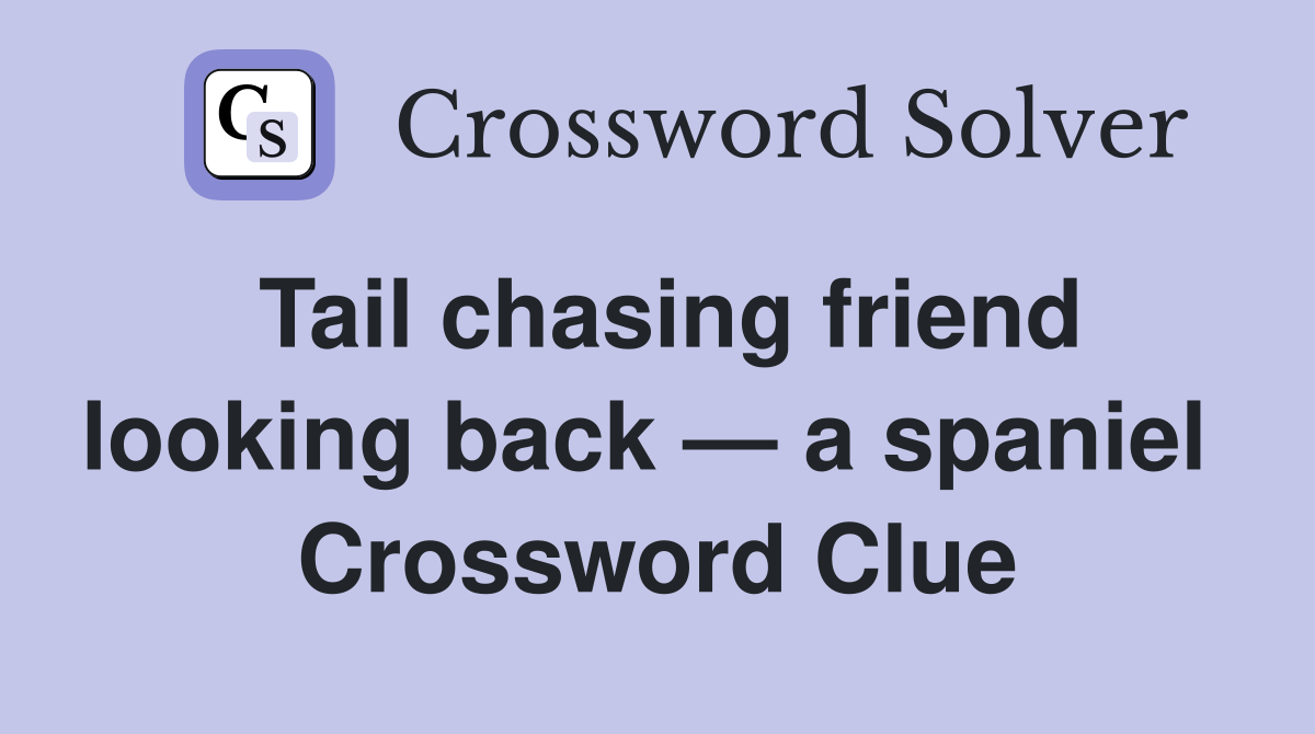 Tail chasing friend looking back — a spaniel  Crossword Clue