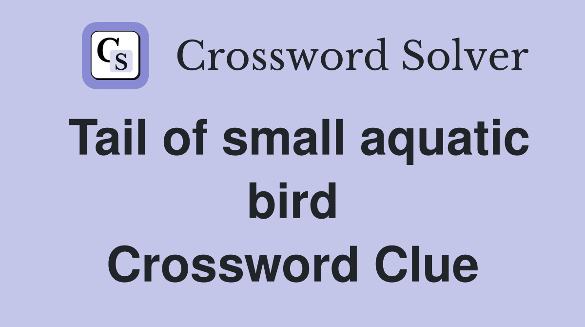 Tail of small aquatic bird Crossword Clue