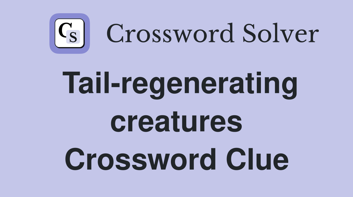 Tail-regenerating creatures Crossword Clue
