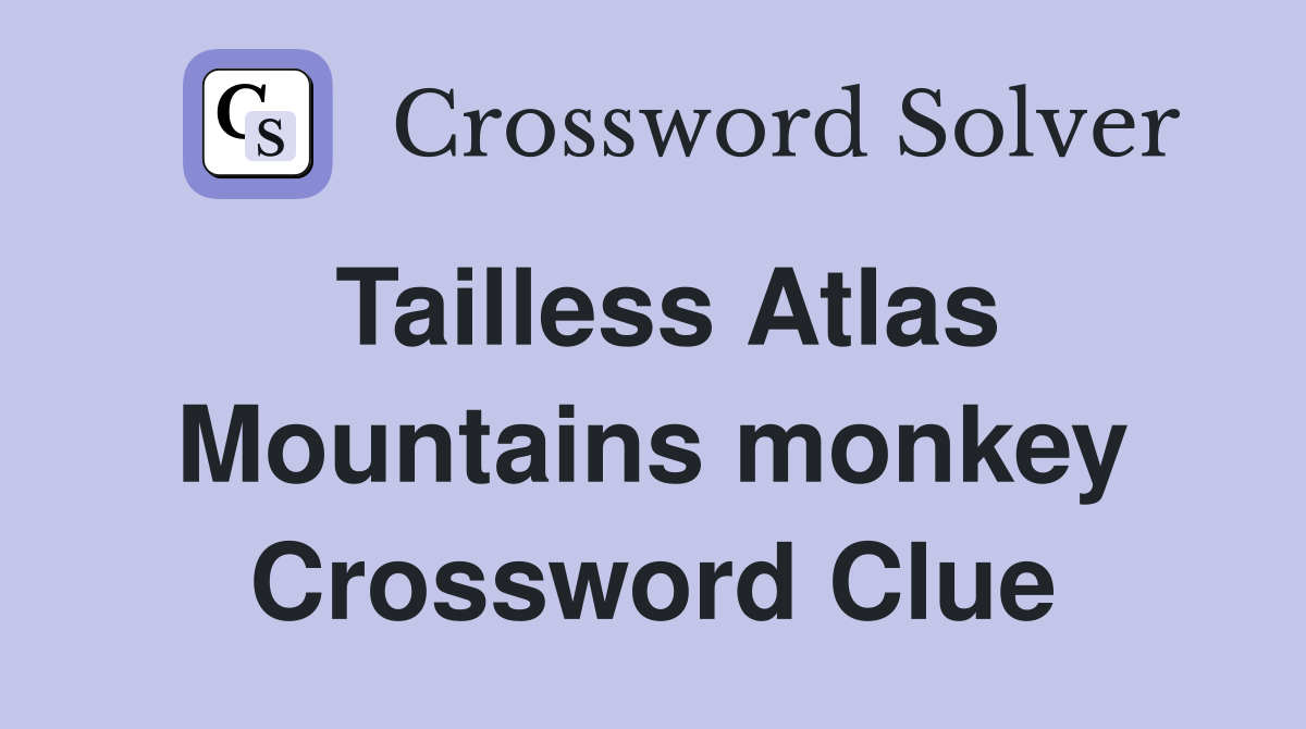 Tailless Atlas Mountains monkey Crossword Clue