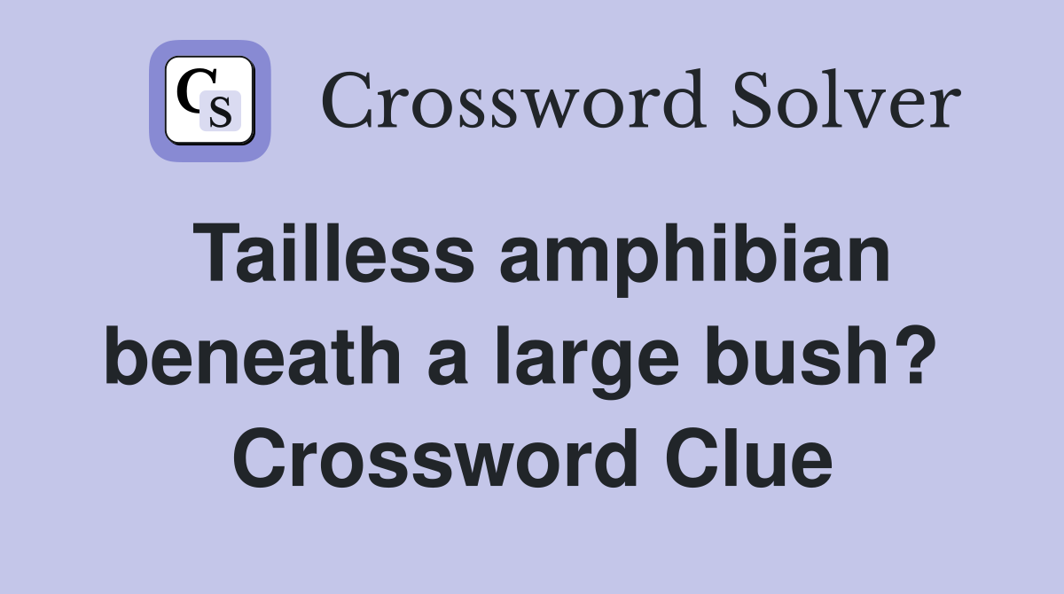 Tailless amphibian beneath a large bush?  Crossword Clue