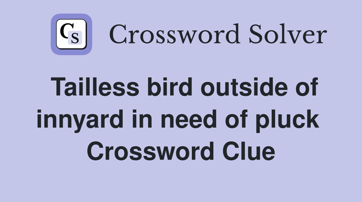 Tailless bird outside of innyard in need of pluck  Crossword Clue