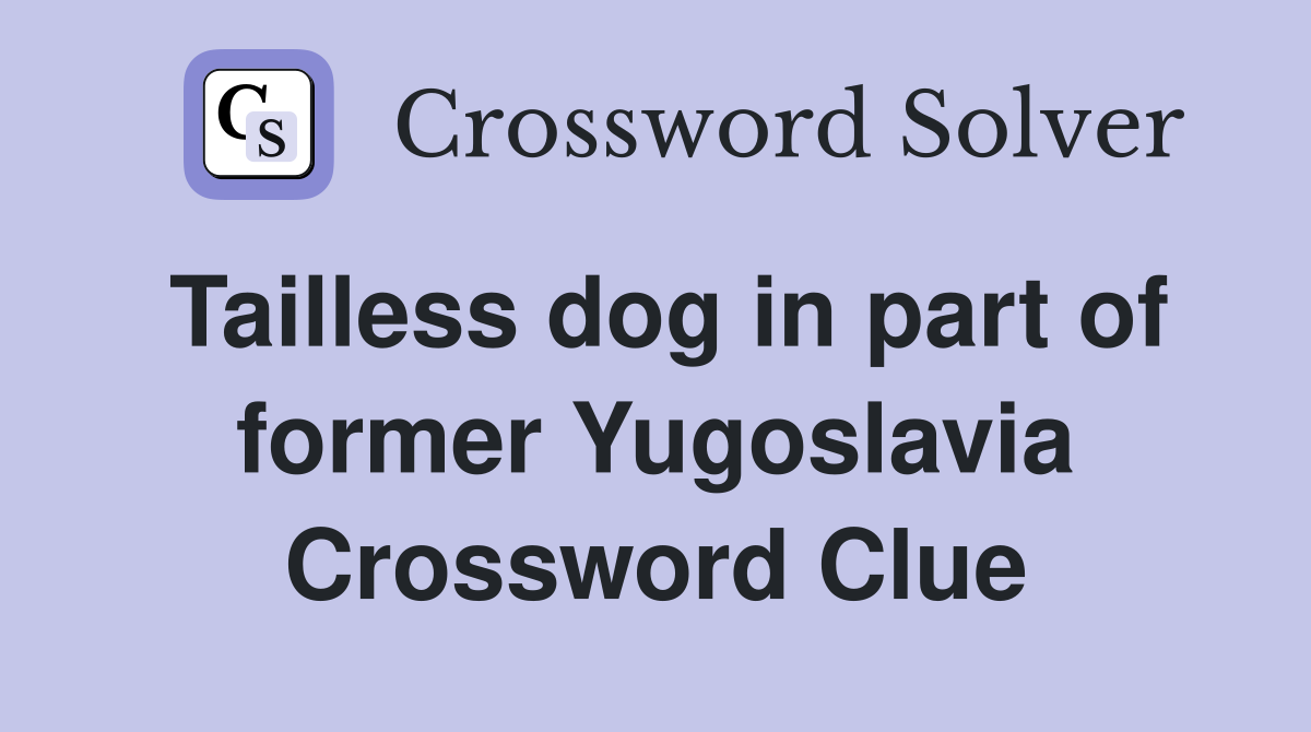 Tailless dog in part of former Yugoslavia Crossword Clue