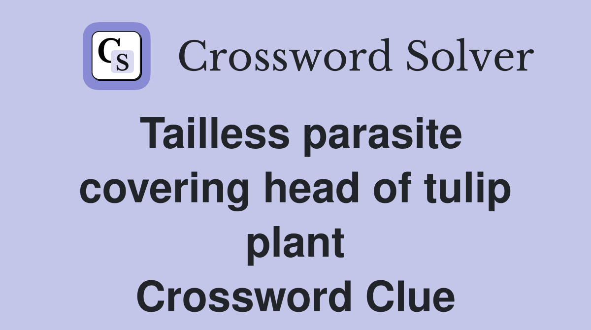 Tailless parasite covering head of tulip plant Crossword Clue