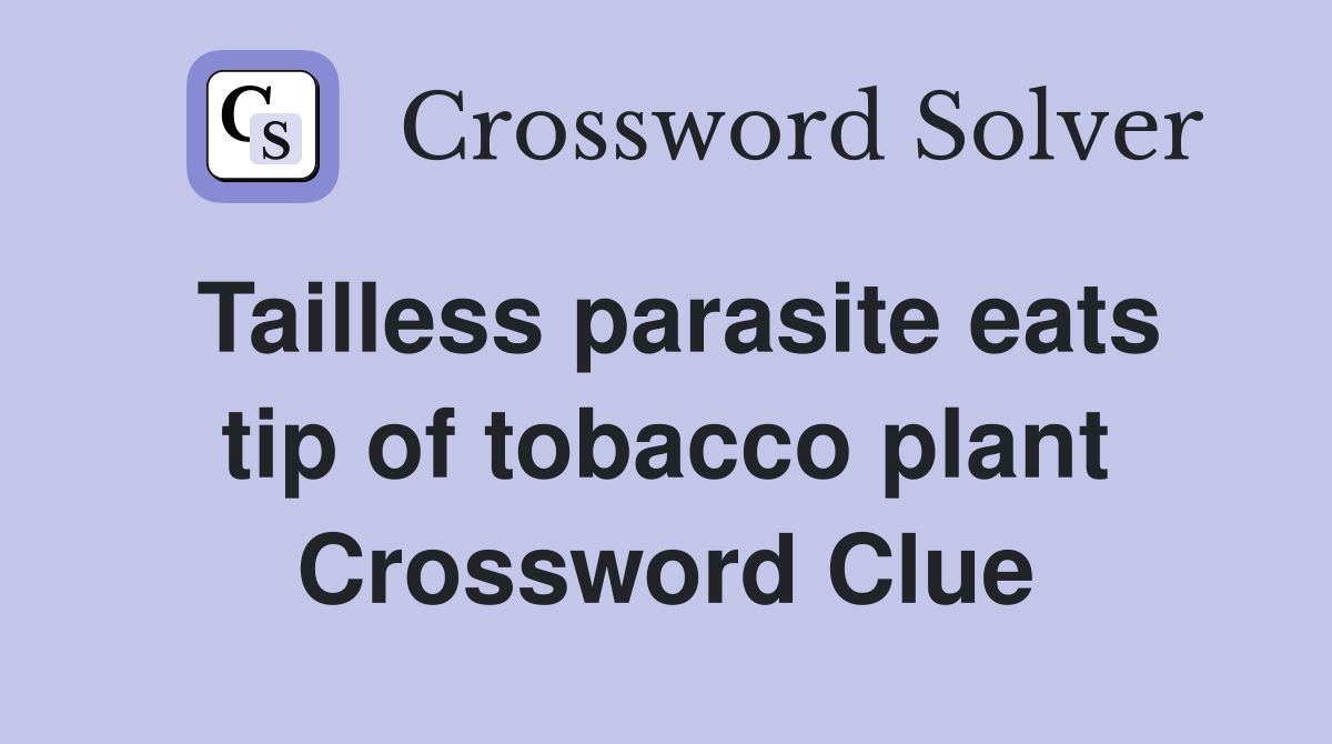 Tailless parasite eats tip of tobacco plant Crossword Clue