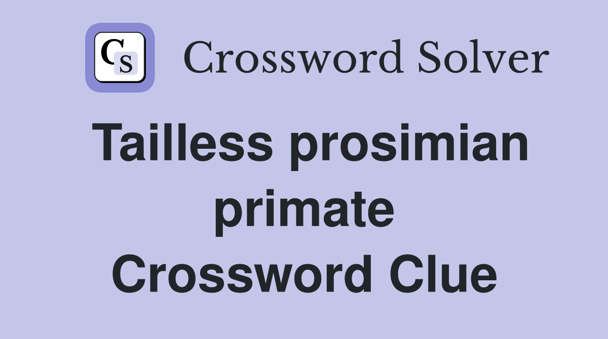 Tailless prosimian primate Crossword Clue