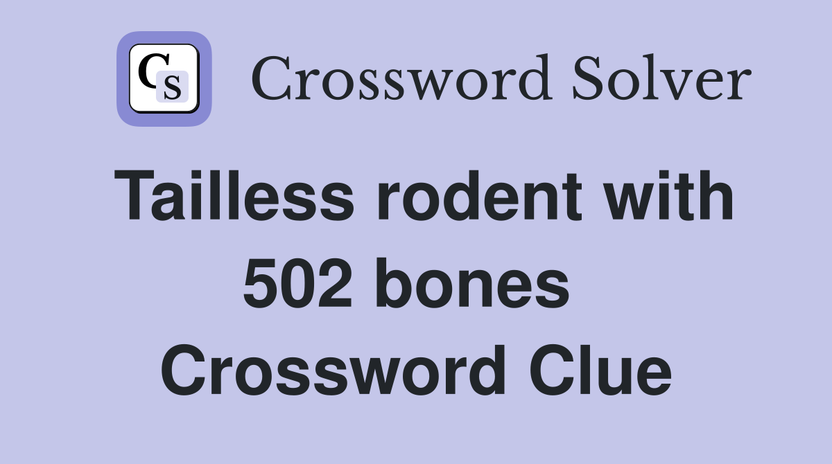 Tailless rodent with 502 bones  Crossword Clue