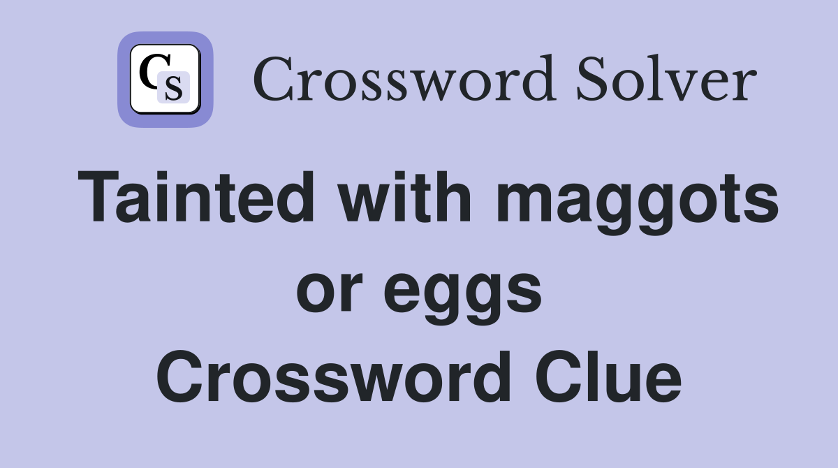 Tainted with maggots or eggs Crossword Clue