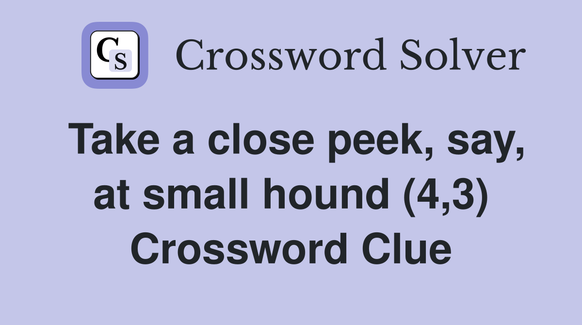 Take a close peek, say, at small hound (4,3) Crossword Clue