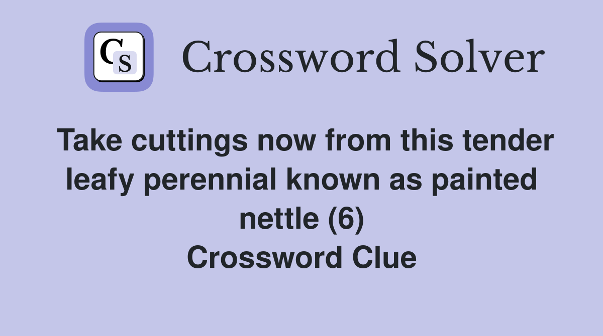 Take cuttings now from this tender leafy perennial known as painted nettle (6) Crossword Clue