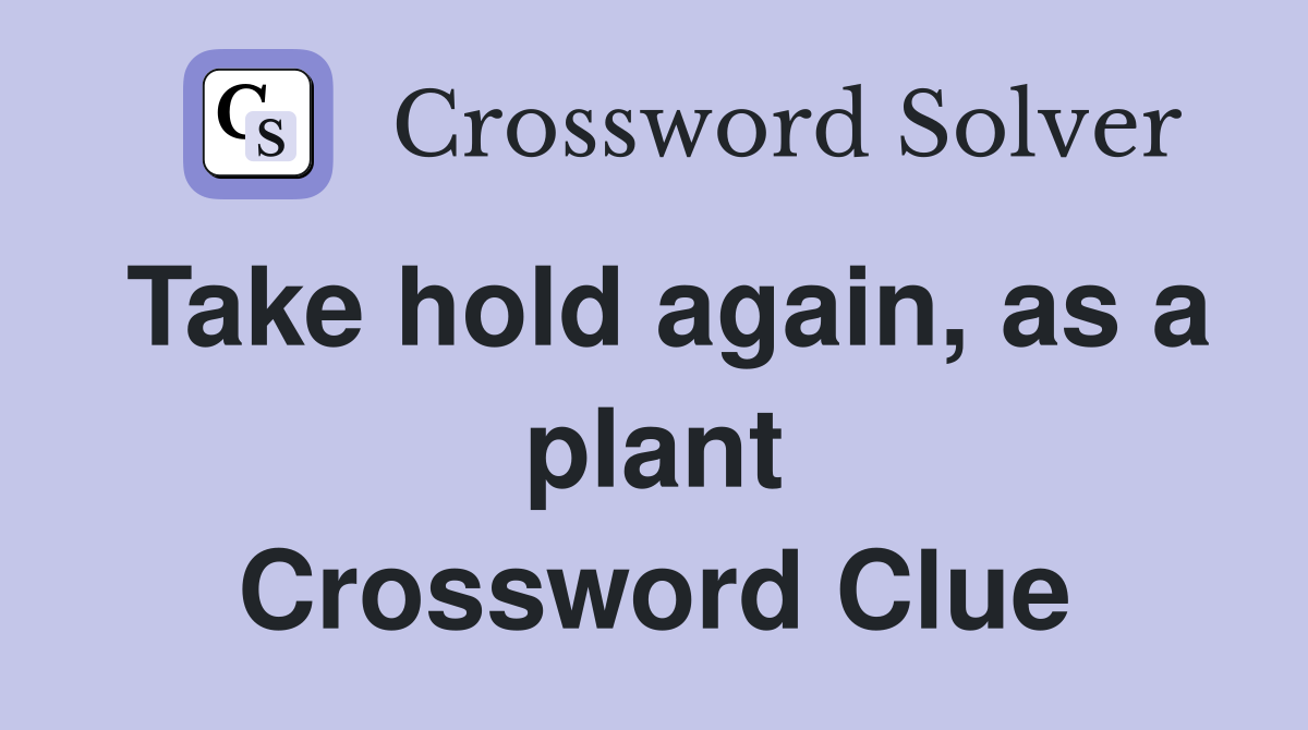 Take hold again, as a plant Crossword Clue
