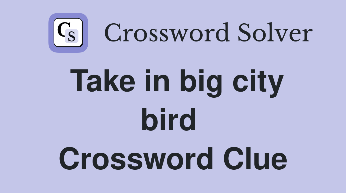 Take in big city bird  Crossword Clue