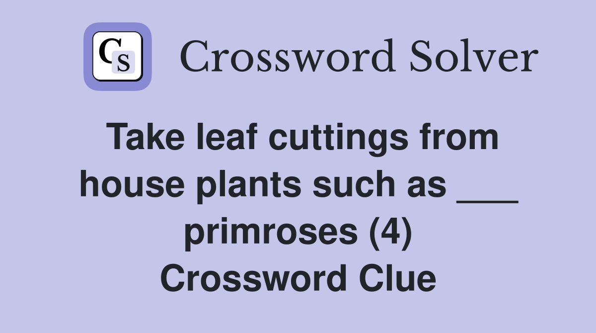 Take leaf cuttings from house plants such as ___ primroses (4) Crossword Clue