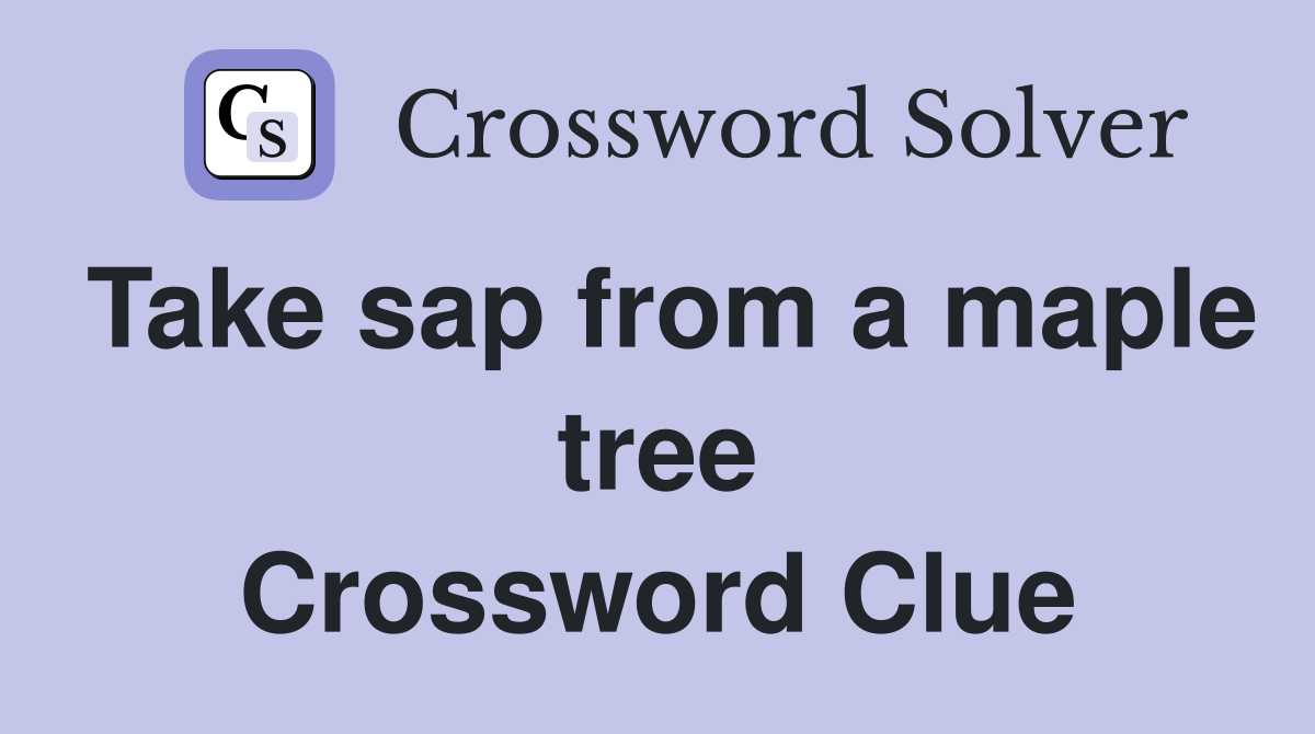 Take sap from a maple tree Crossword Clue