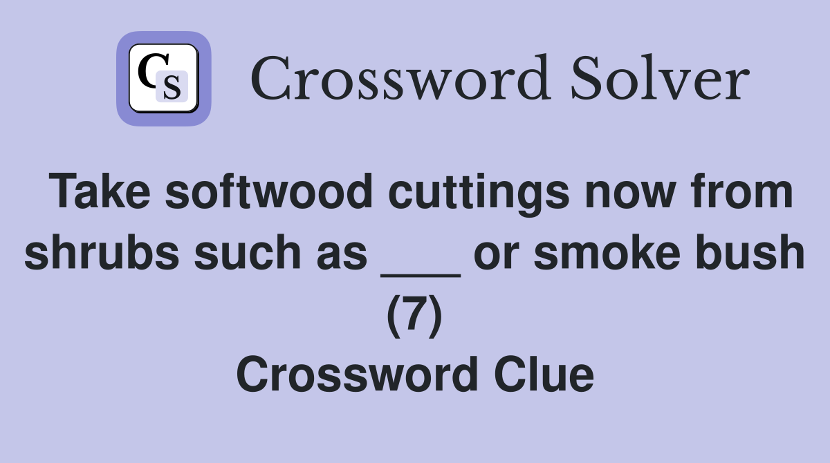 Take softwood cuttings now from shrubs such as ___ or smoke bush (7) Crossword Clue