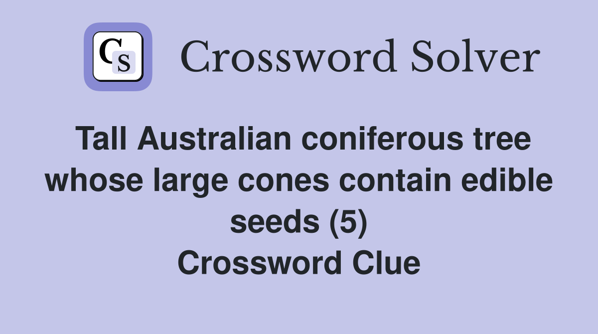 Tall Australian coniferous tree whose large cones contain edible seeds (5) Crossword Clue
