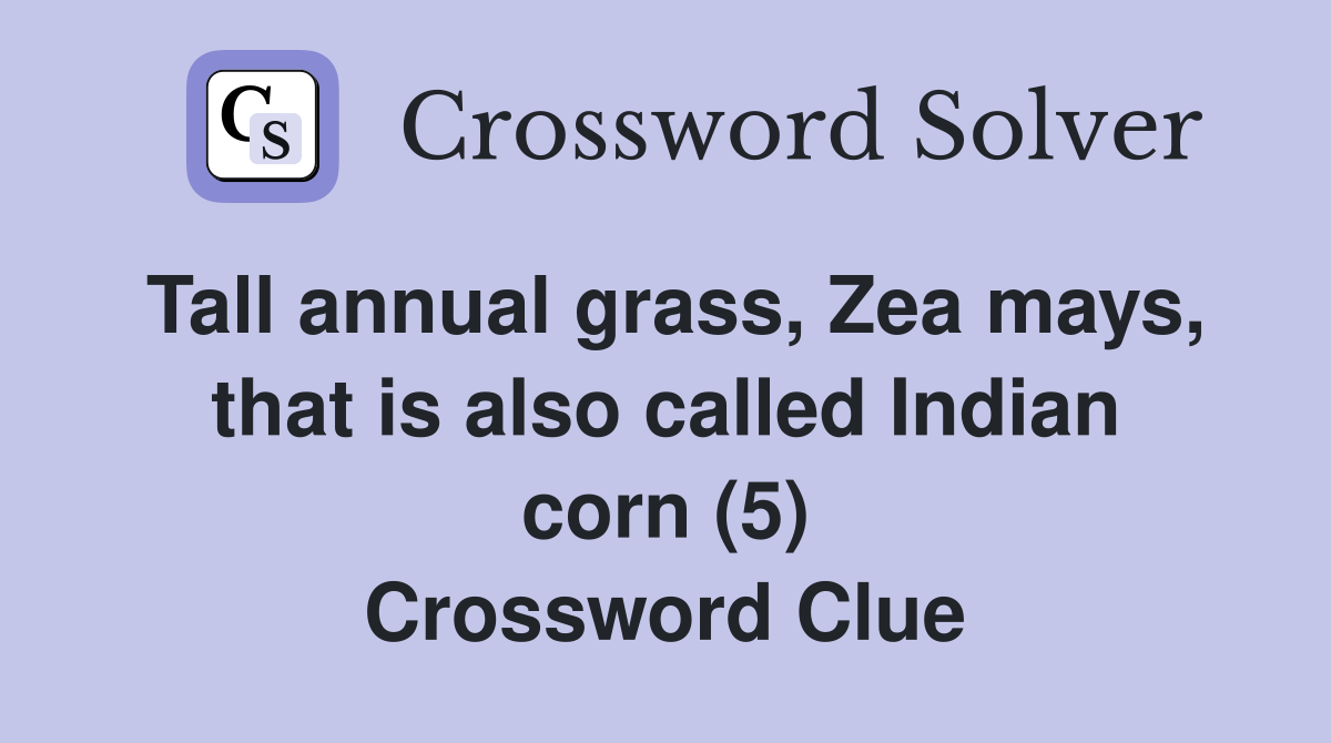 Tall annual grass, Zea mays, that is also called Indian corn (5) Crossword Clue