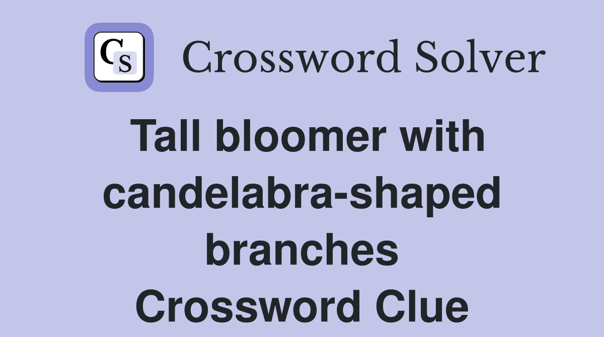 Tall bloomer with candelabra-shaped branches Crossword Clue