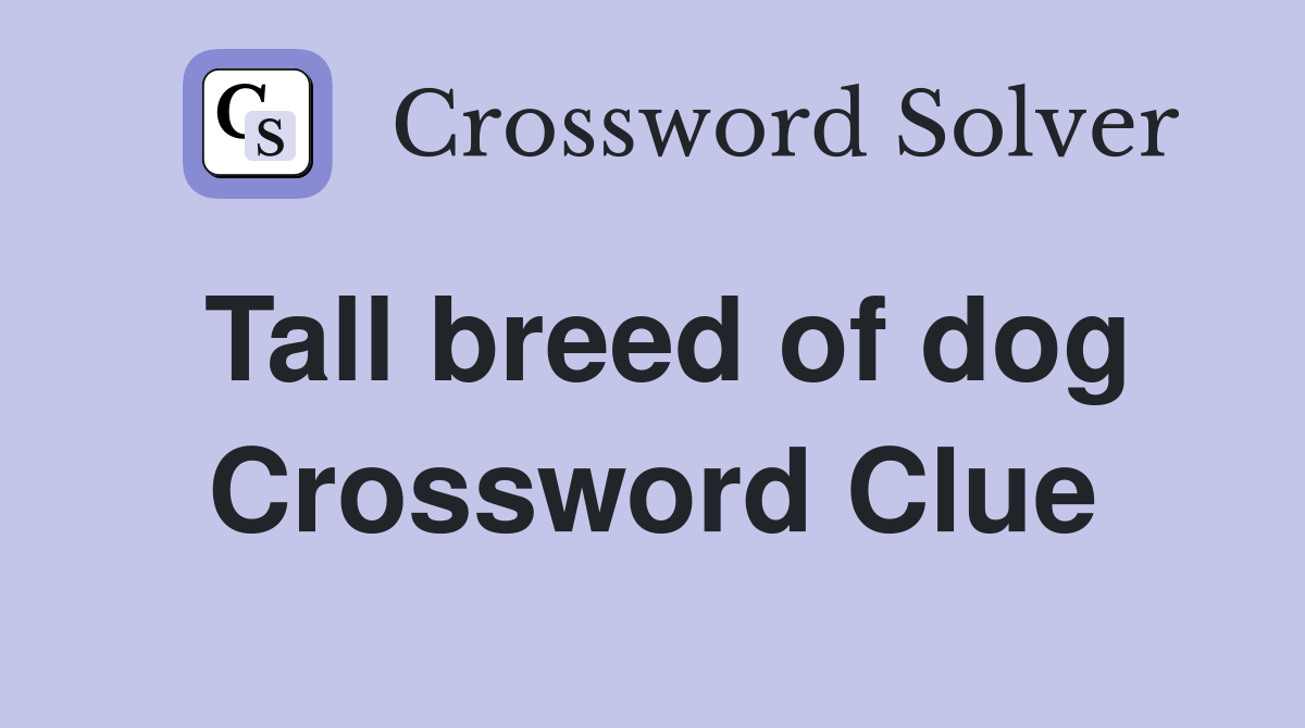 Tall breed of dog Crossword Clue