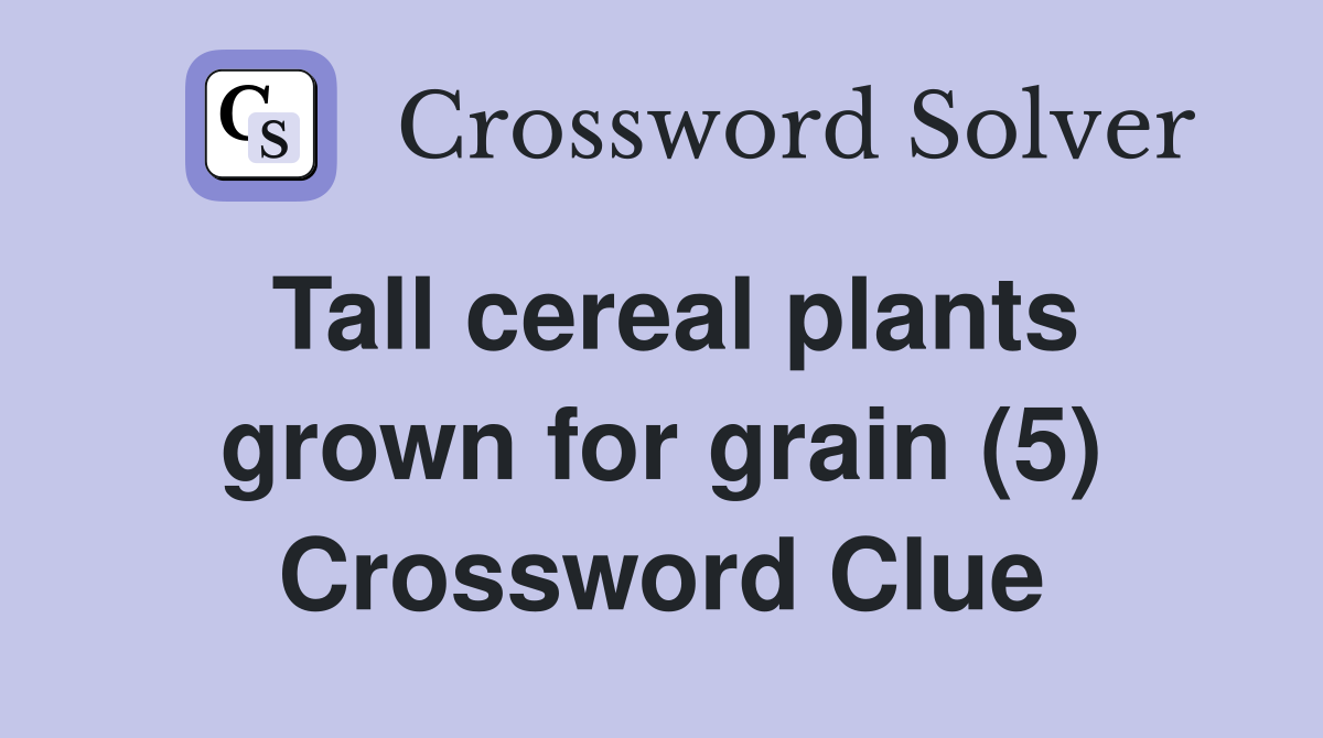 Tall cereal plants grown for grain (5) Crossword Clue