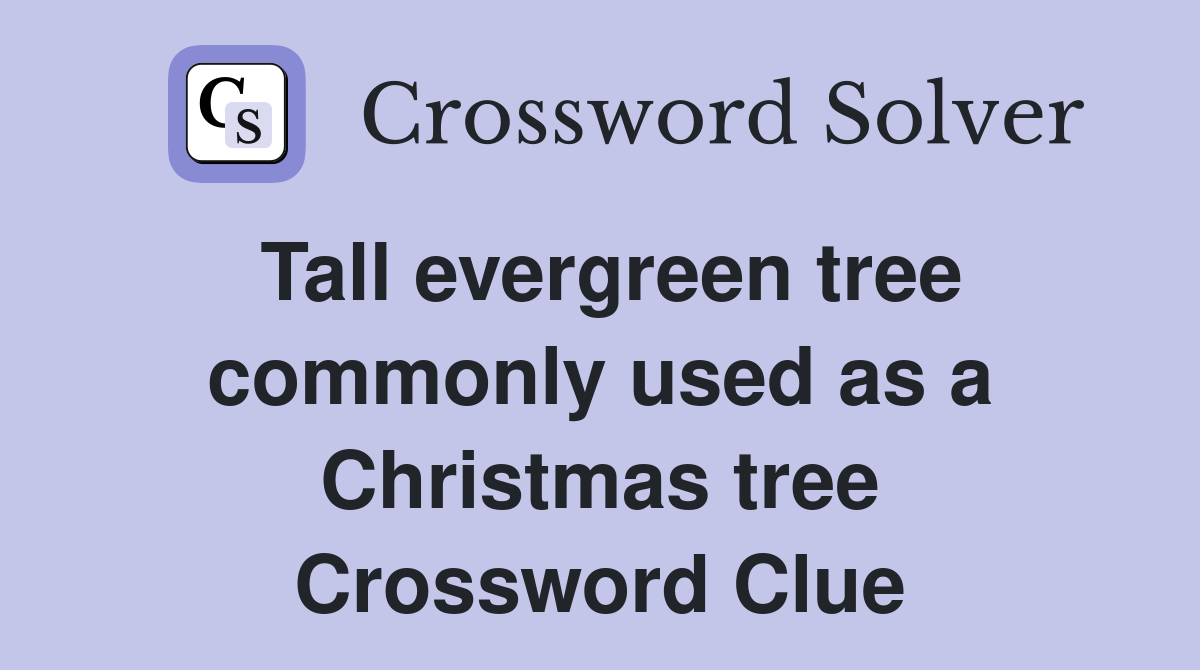 Tall evergreen tree commonly used as a Christmas tree Crossword Clue