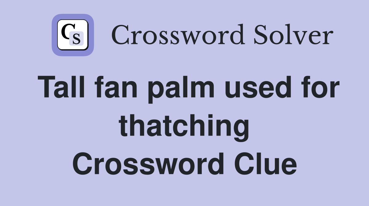 Tall fan palm used for thatching Crossword Clue