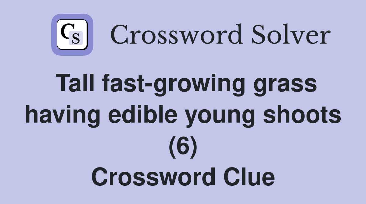 Tall fast-growing grass having edible young shoots (6) Crossword Clue