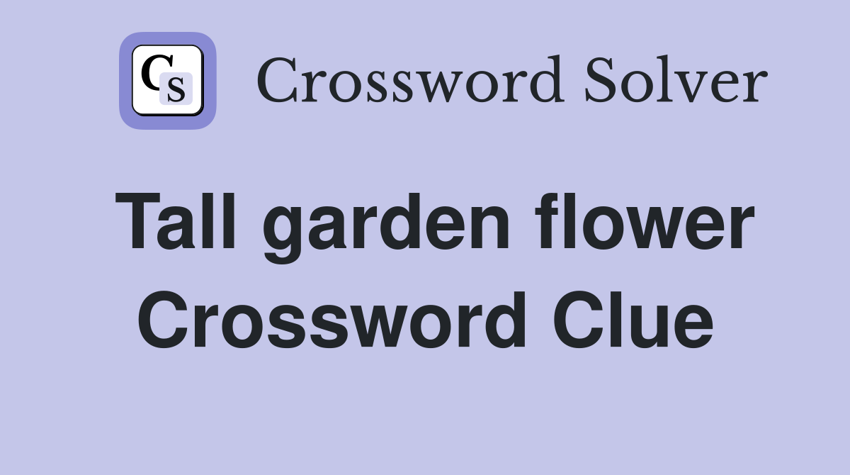 Tall garden flower Crossword Clue