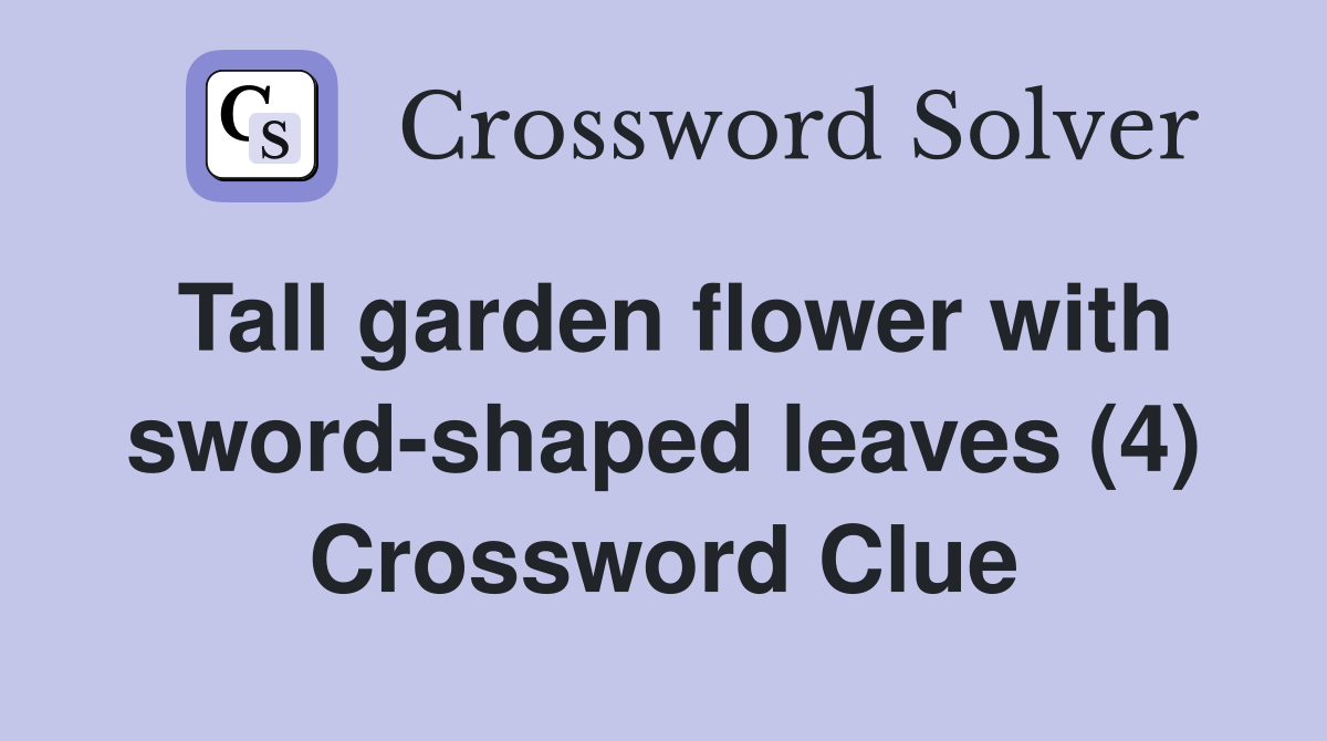 Tall garden flower with sword-shaped leaves (4) Crossword Clue