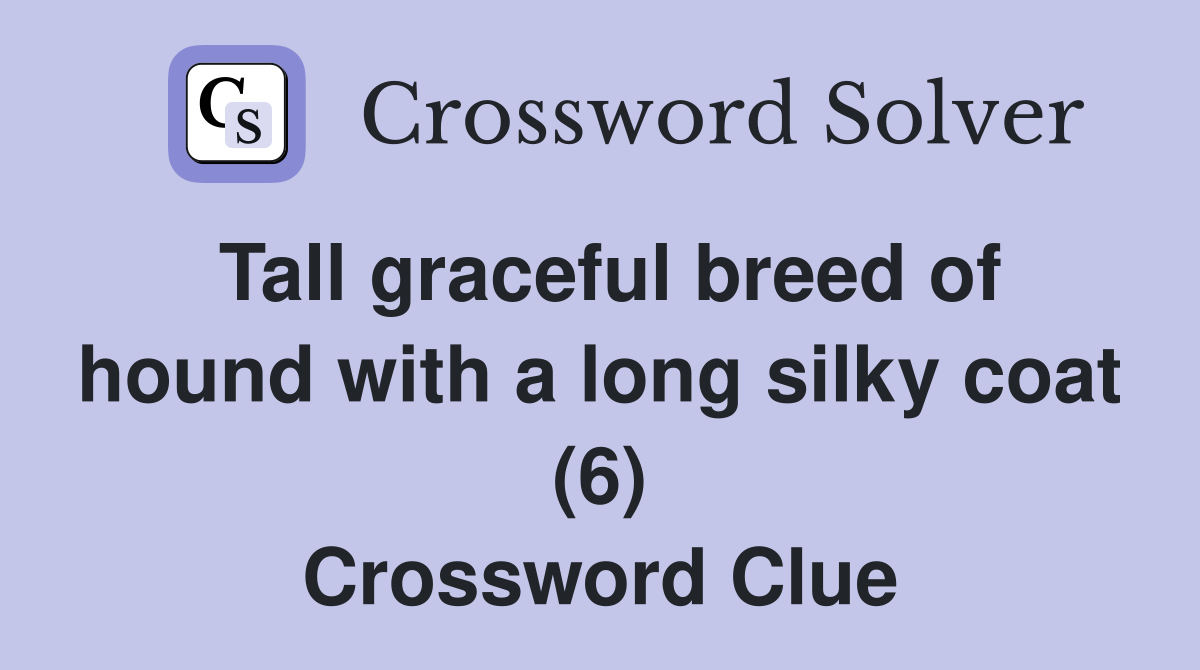 Tall graceful breed of hound with a long silky coat (6) Crossword Clue