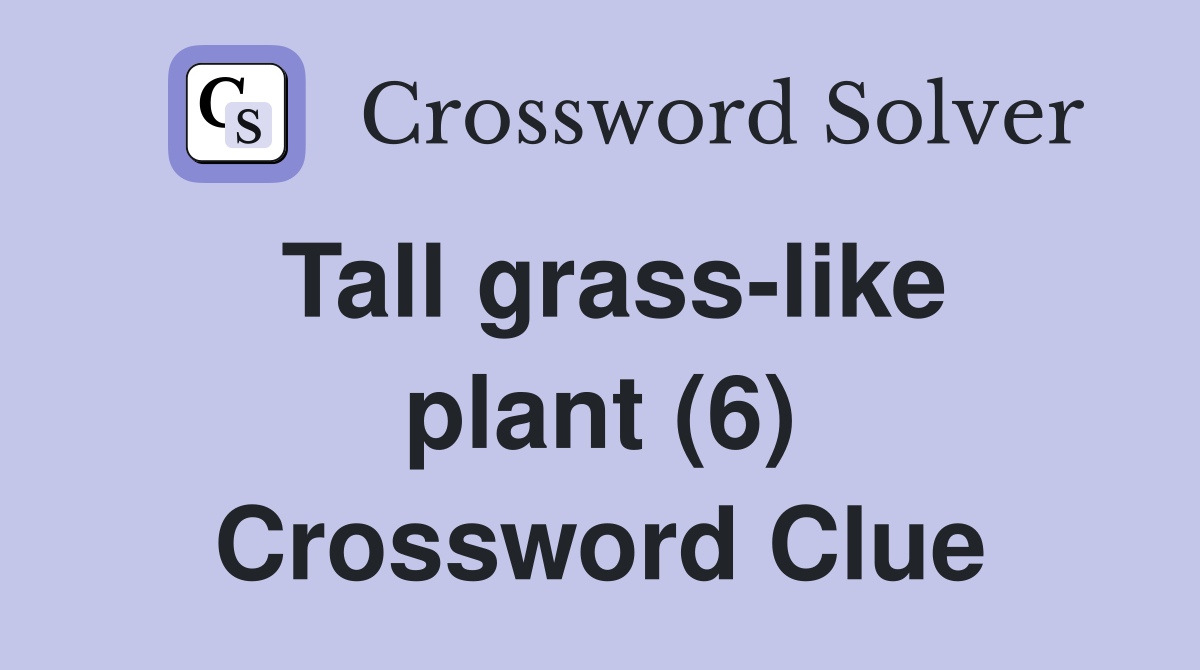 Tall grass-like plant (6) Crossword Clue