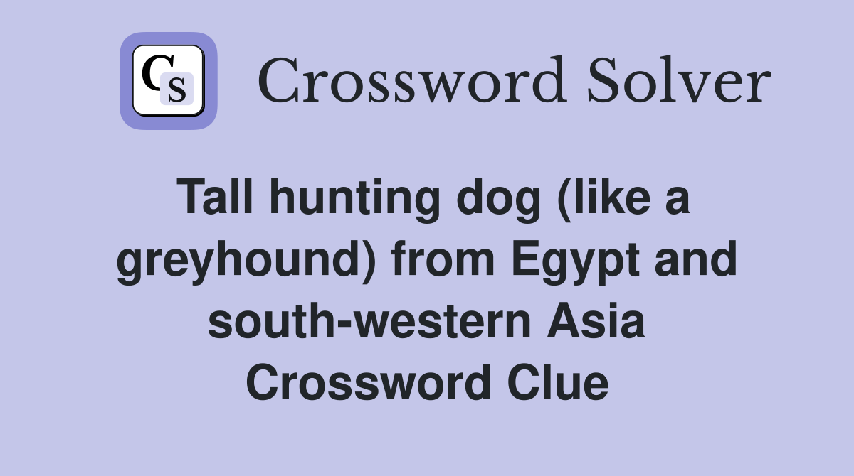 Tall hunting dog (like a greyhound) from Egypt and south-western Asia Crossword Clue