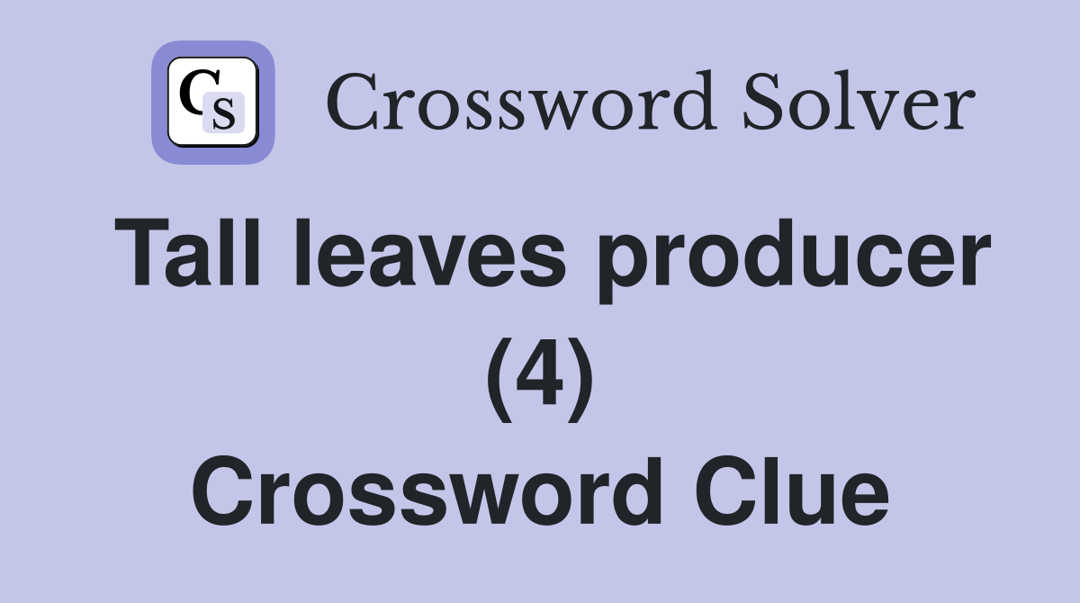 Tall leaves producer (4) Crossword Clue