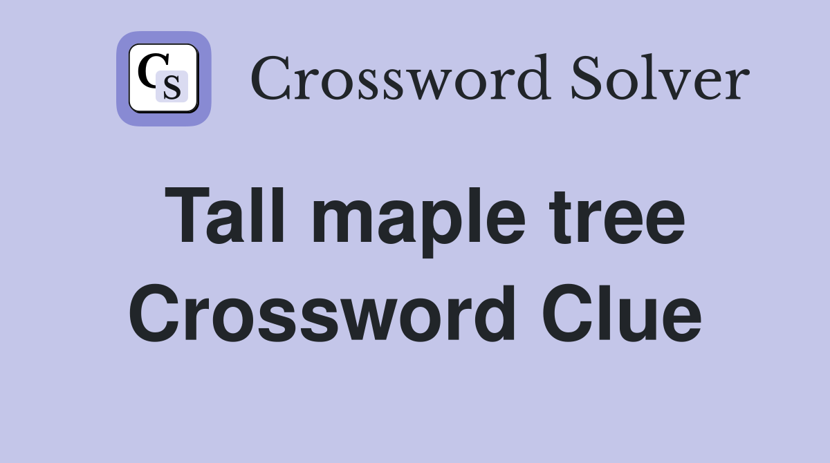 Tall maple tree Crossword Clue
